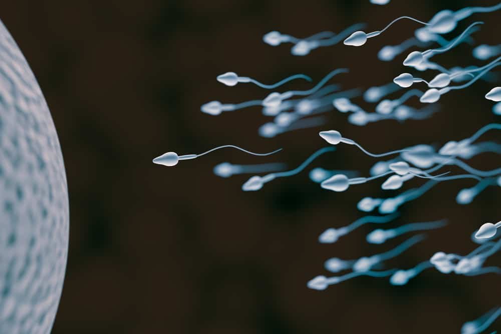 Virus Corona Ada di Sperma Pria