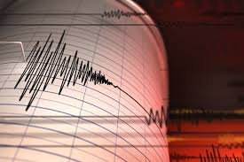 Gempa Bumi Magnitudo Mengguncang Morowali