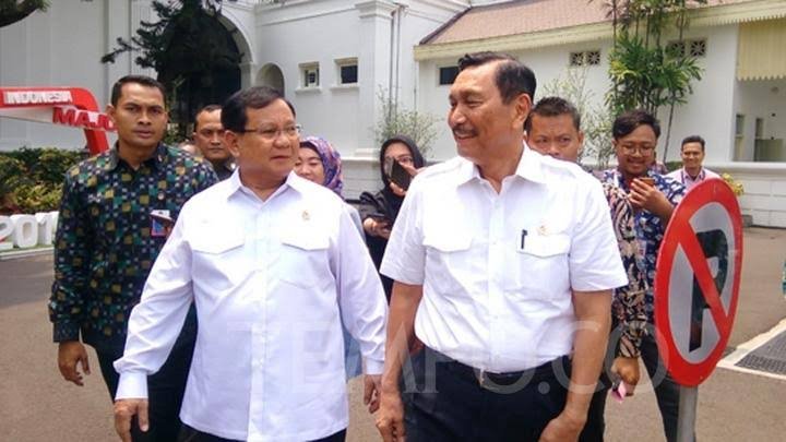 Apa Itu Rare Earth yang Dibahas Oleh Luhut dan Prabowo?