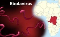 Virus Ebola Muncul Lagi Ditengah Virus Corona, Ini Faktanya!