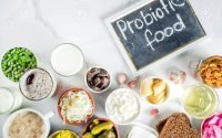 manfaat probiotik