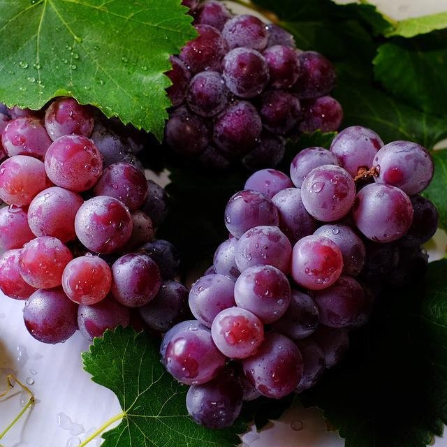 Manfaat Buah  Anggur  Untuk Kesehatan Primaberita